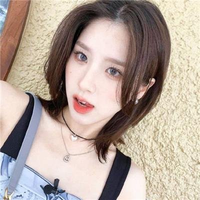 蔷薇处处开