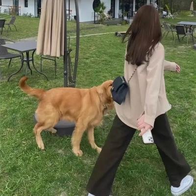 续·社长行状记